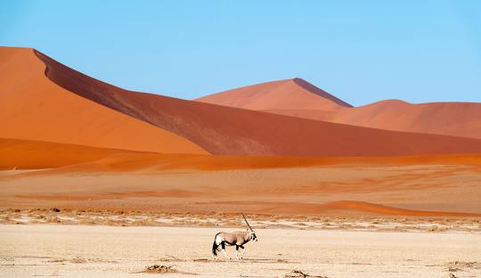 Namib Desert & Dunes